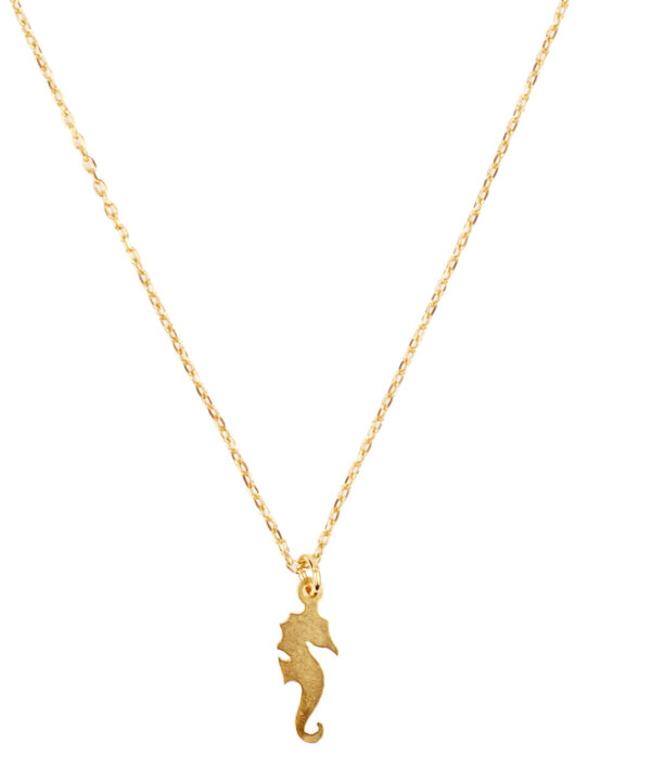 Collar Seahorse