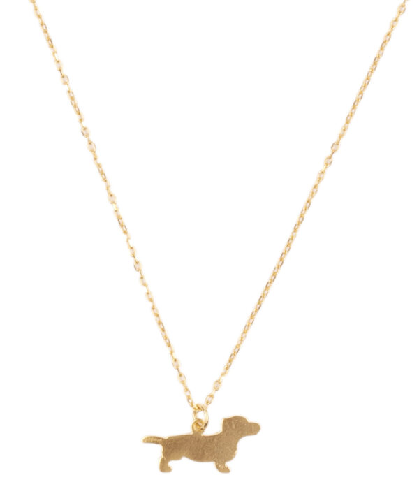 Collar Teckel