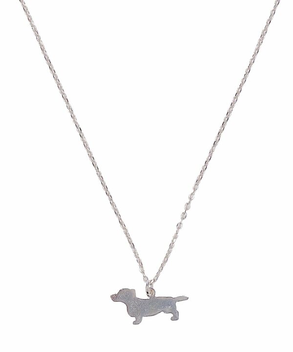 Collar Teckel