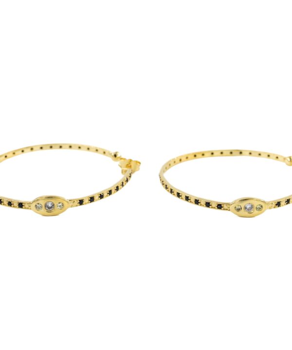 Janis Hoops