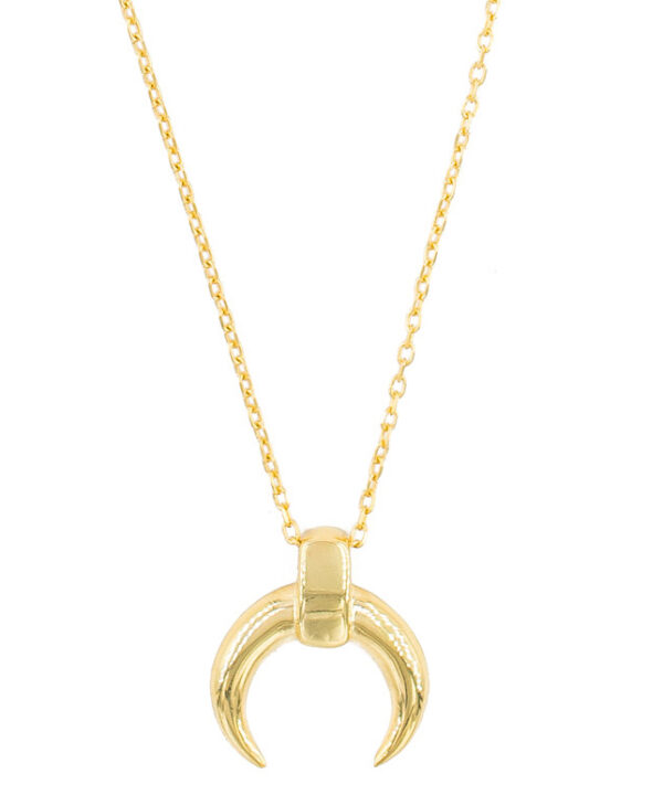 Collar Wish Horn