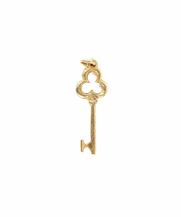 Charm Llave