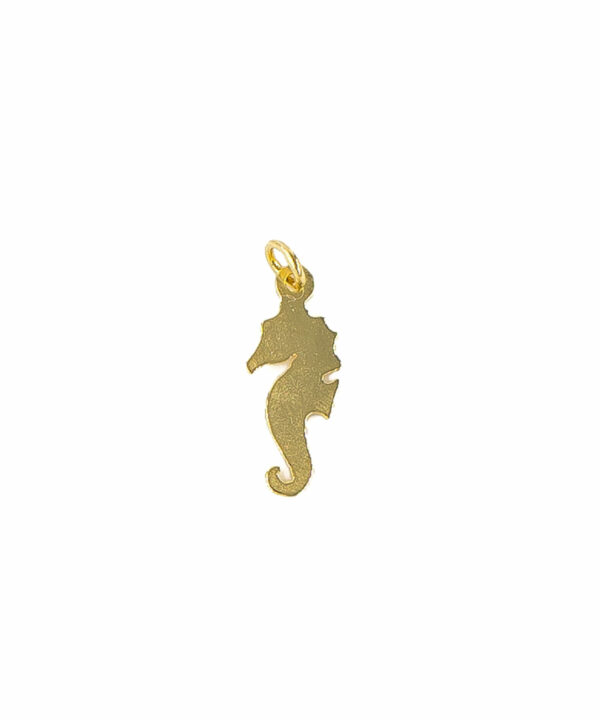 Charm Caballito de mar