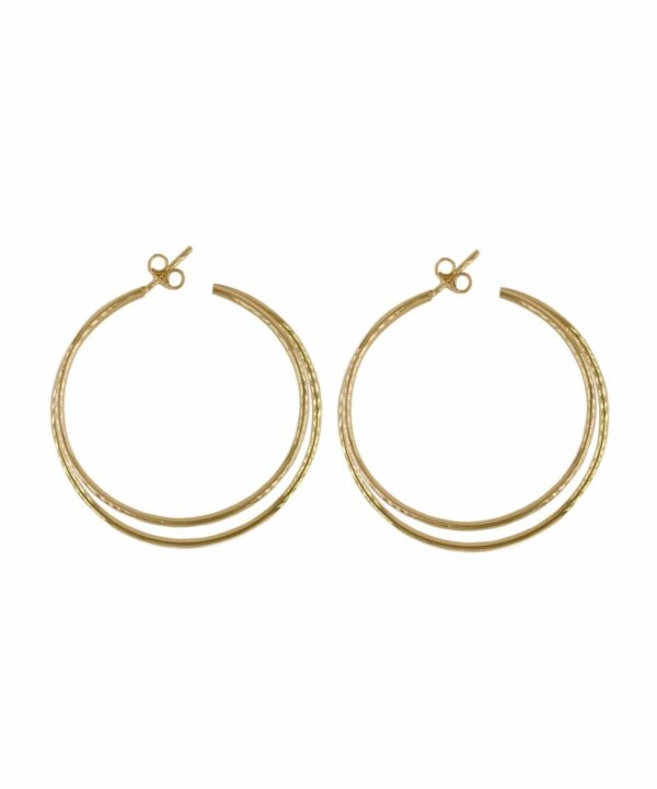 Double Hoops