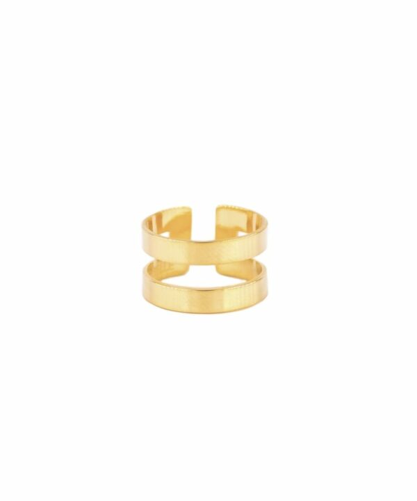 Anillo Double